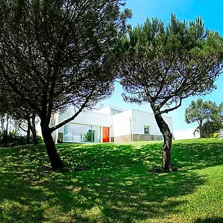 Sense Of Ofir Fão